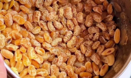 纳豆怎么做视频教程,家常美味轻松学